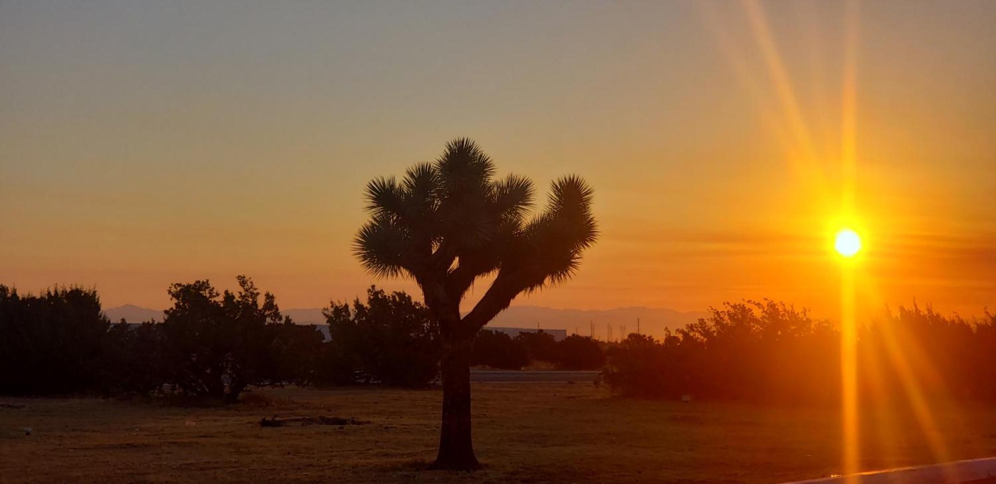 Motel 6-Hesperia, Ca - West Main Street I-15 エクステリア 写真